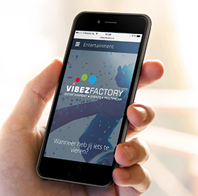 Vibez Factory Multimedia